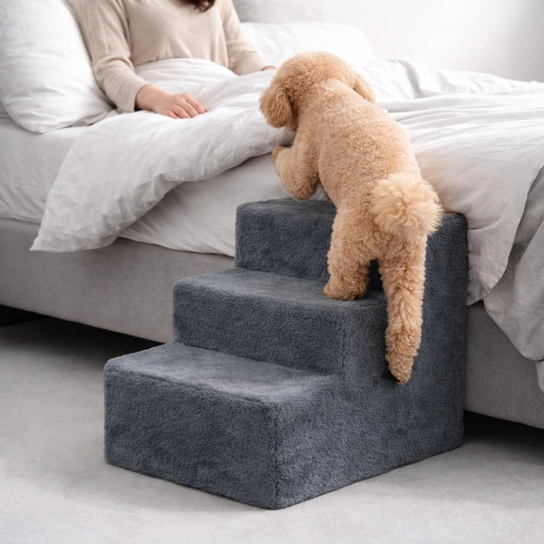 PawRise™ Support Stairs