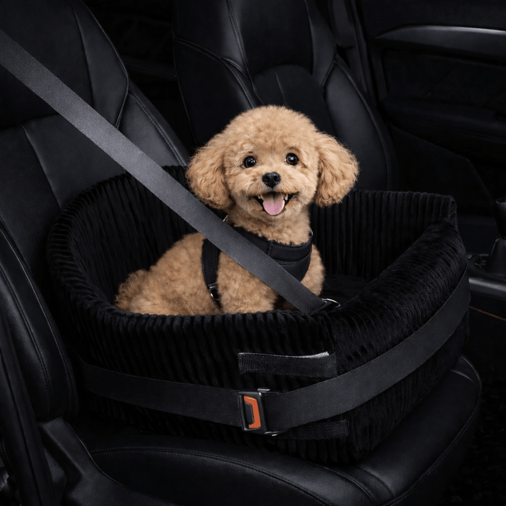 SafeRide Dog Booster Seat for Safer Car Rides