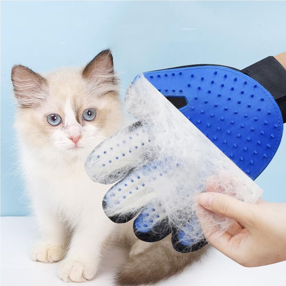 Shedda Pro Gloves