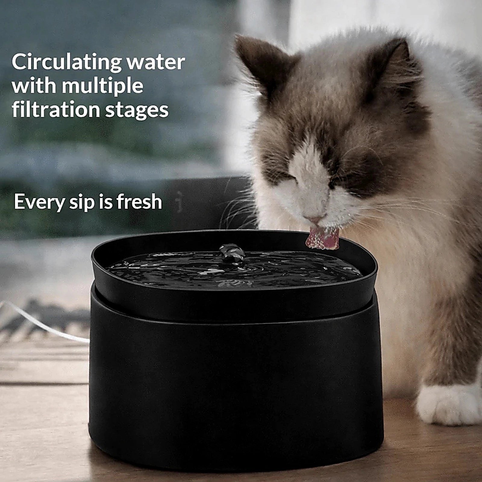 WhiskerFlow Smart Cat Water Fountain